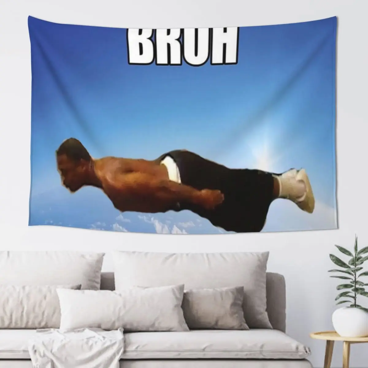 Bruh Flying Meme Tapestry Wall Decorations Decor For Bedroom Room Aesthetic Wall Hanging Tapestry