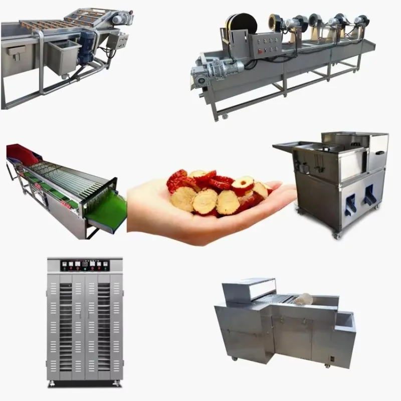 Full Set Red Date Processing Line Automatic Jujube Washing Air Drying Sorting Pitting Machine Customized
