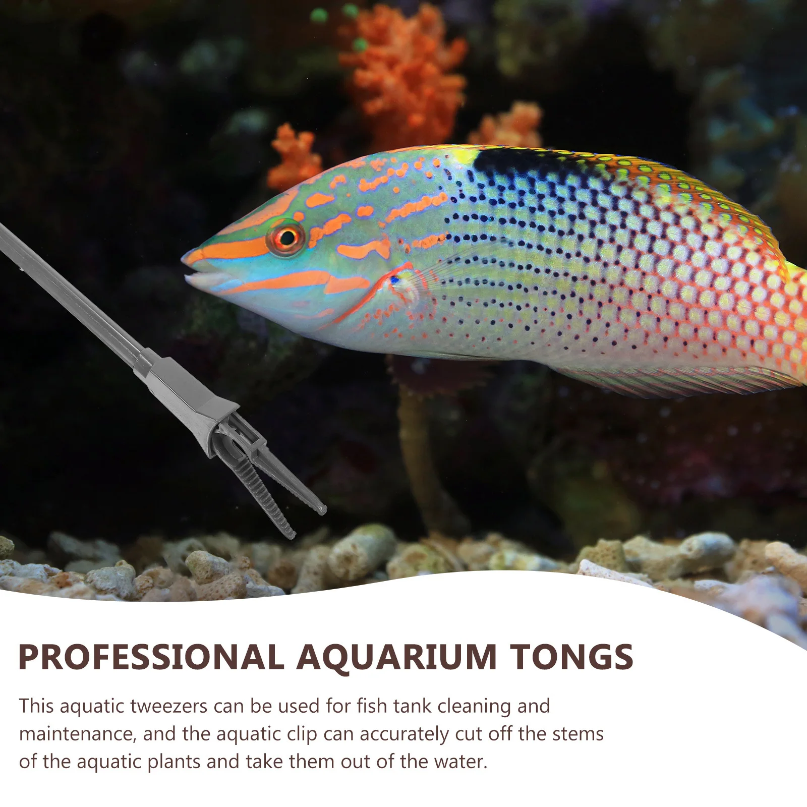 

3Pcs Fish Tank Tweezers Ergonomic Plastic Aquarium Tools Long Handle Feeding Tongs Professional Aquarium Maintenance Accessories