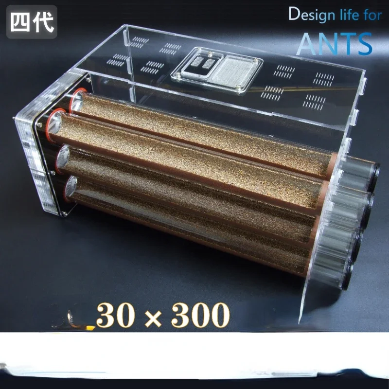 Six 30 × 300mm Bionic Neutral Concrete Bamboo Nest Workshop Ant Villa Professional Acrylic Ant Nest