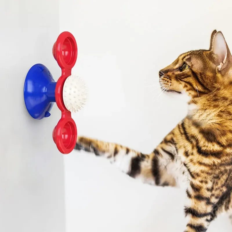 Jouet coule en forme de moulin à vent pour chat, jeu éducatif avec plateau tournant rotatif pour chaton, fournitures pour animaux de compagnie