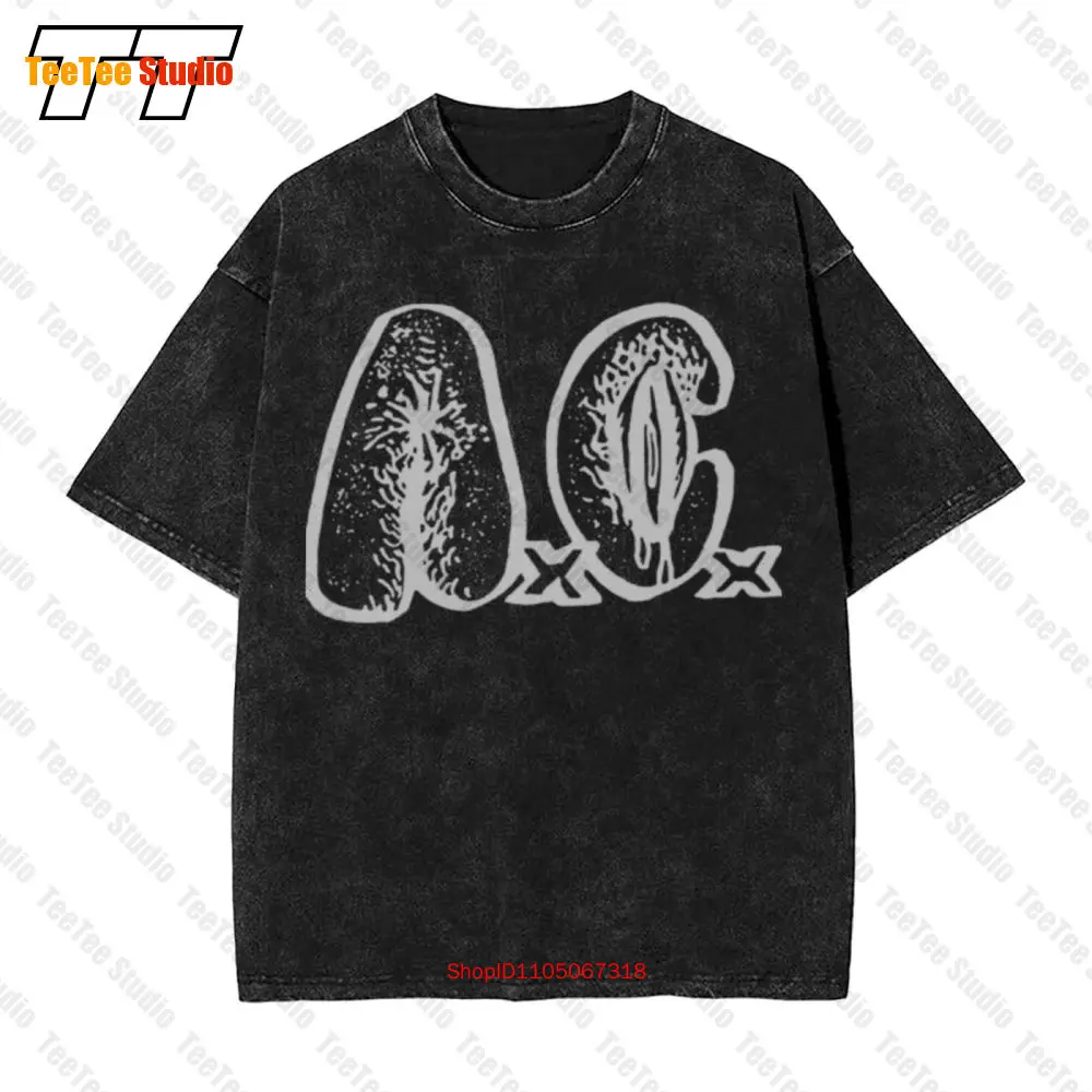 Anal C Nt Punk Dyst…