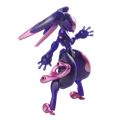 Onyx rabbit