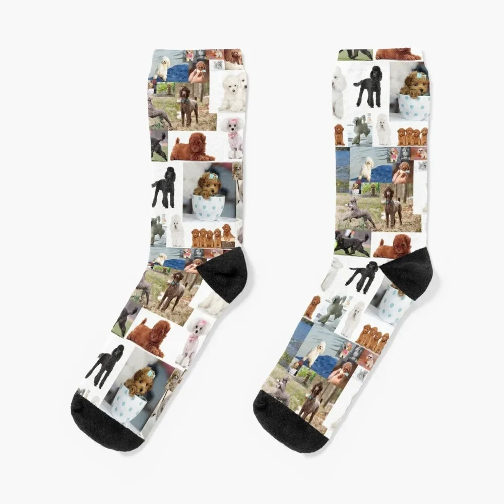 Poodle collage Socks with print retro kawaii Stockings man Socks Women's Men's