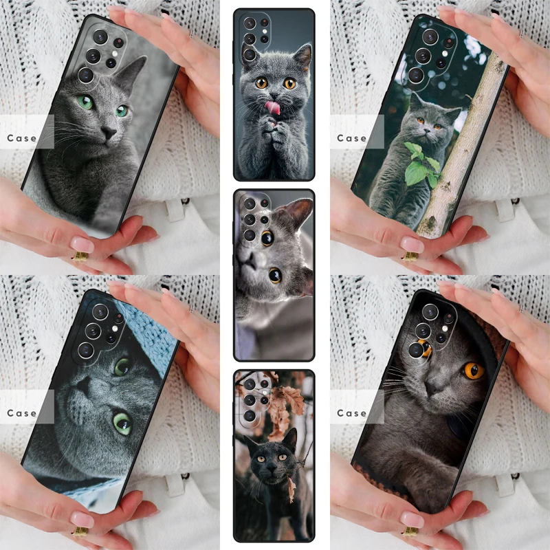 Russian Blue Cat Kitten Cute TPU Phone Case for Samsung Galaxy S26 S25 S24 S23 S22 S21 S20 Note10 Plus FE Ultra Cover