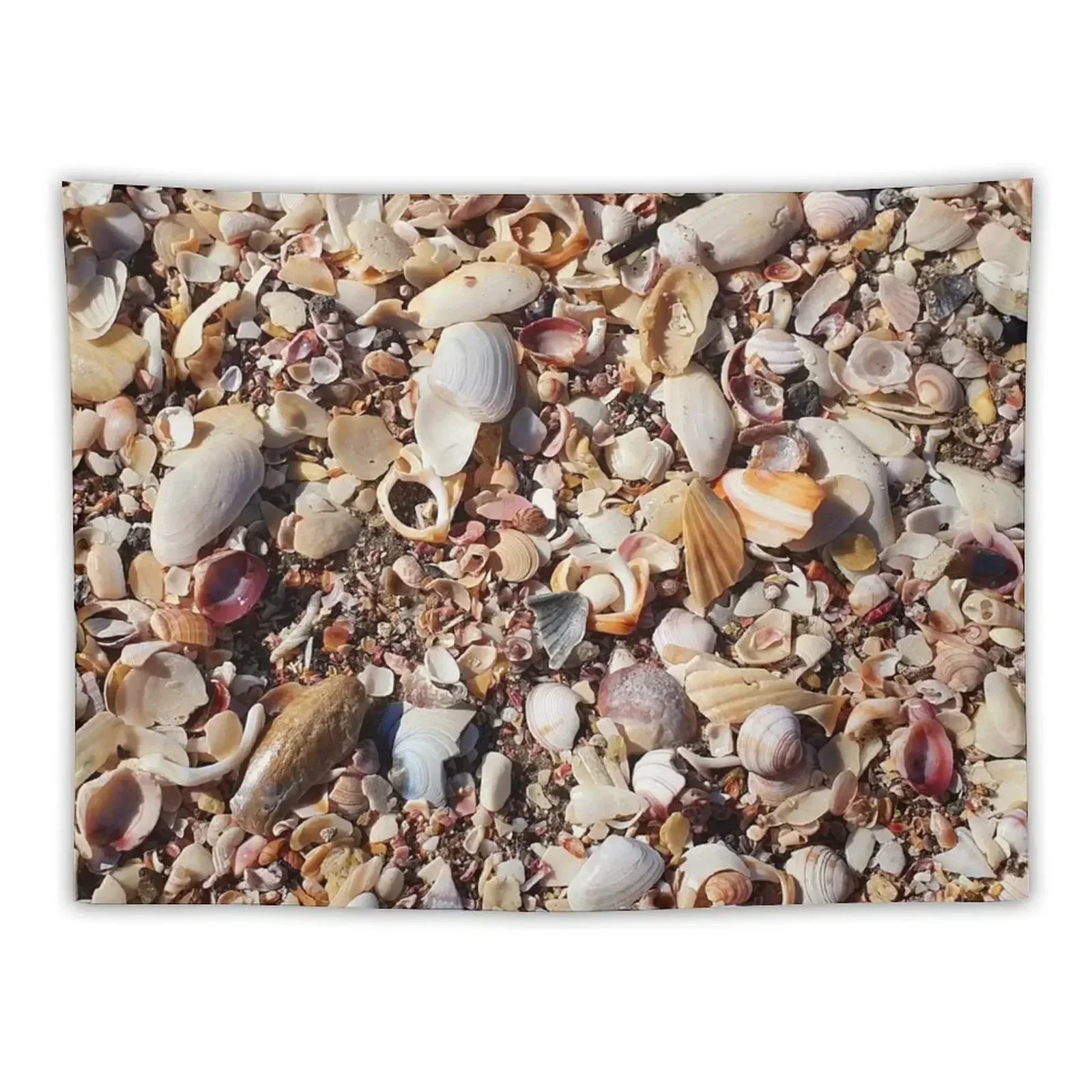 

Shells Tapestry Room Decoration Korean Style Aesthetic Room Decor Korean Home Decor Aesthetic Decor For Room Tapestry