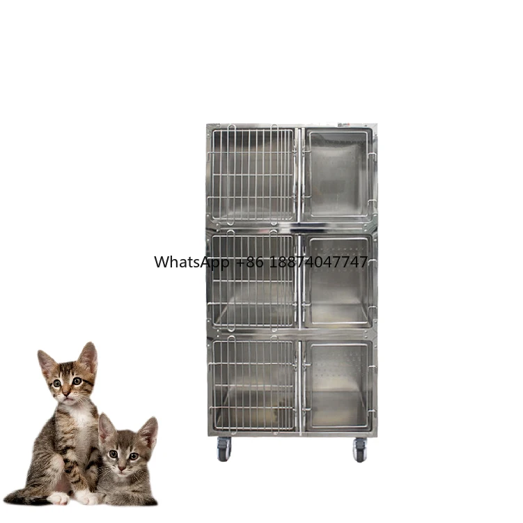 Yonker Sockets Veterinary Clinic Six Doors Cat Use Infusion Cage