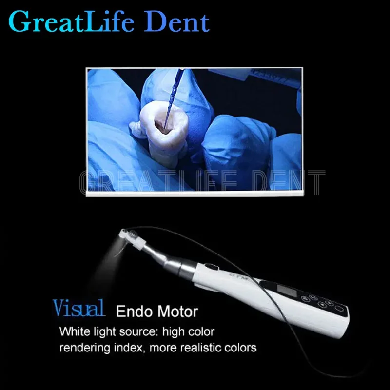 GreatLife-Dent Micro Câmera Dental, Tempo Real, Wi-Fi, Visual Remoção do Canal Raiz, Espelho Boca, Endo Motor, 24 "Tela