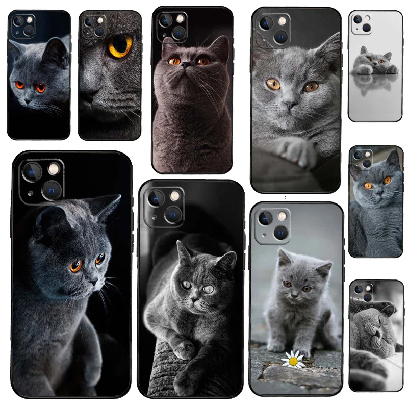 Beautiful Grey British Shorthair Cat Case For iPhone 12 13 Mini 13 11 12 14 Pro Max XS X XR 6S 7 8 Plus SE 2020 Silicone Cover