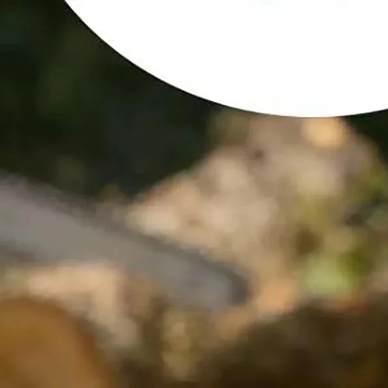 

Комплект крышки цепной звездочки с регулировочным натяжителем и гайкой для бензопил MS170, 180, 210, 230, 250