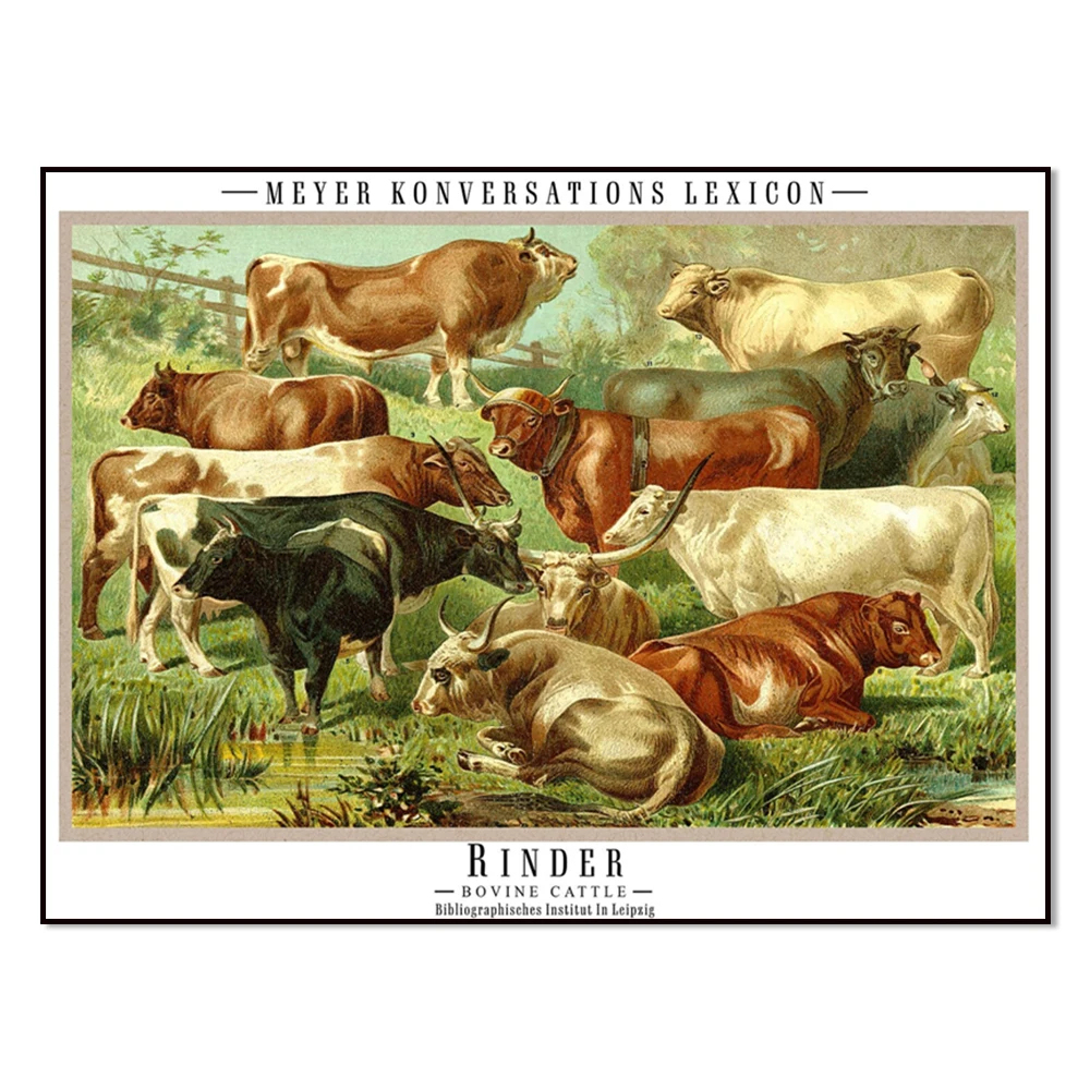 Vintage Mammal, Pig, Horse, Cow, Elephant Poster Adolphe Millot Plant Meyer Encyclopedia Illustration Decorative Picture