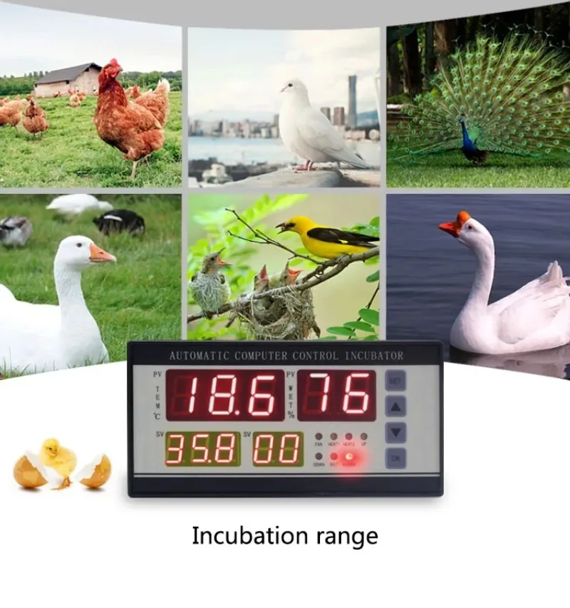 XM-18 Controller dell\'incubatrice accessori per incubatori automatici sistema di controllo della temperatura e dell\'umidità costante incubatore per
