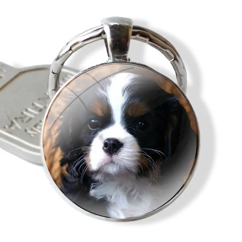 Keychain Handmade Glass Cabochon Key Ring Holder Pendant Key Chains Gift Fashion Cartoon Funny Cavalier King Charles Spaniel Dog