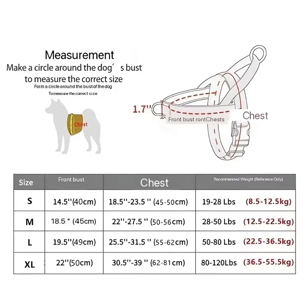 Thumbnail 2 - #3 Best Dog Harnesses to Buy In 2026