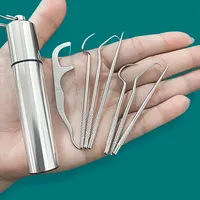 Stainless Steel Toothpick Set Reusable Toothpicks Tooth Flossing Tartar Removal Tool Portable Teeth Cleaner for Tooth Oral Clean