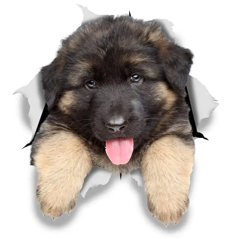 M463 Wurst Hund Rottweiler Hund Yorkshire Terrier Hund PVC Haushalt Dekoration Wand Aufkleber Toilette Aufkleber – Detail 9