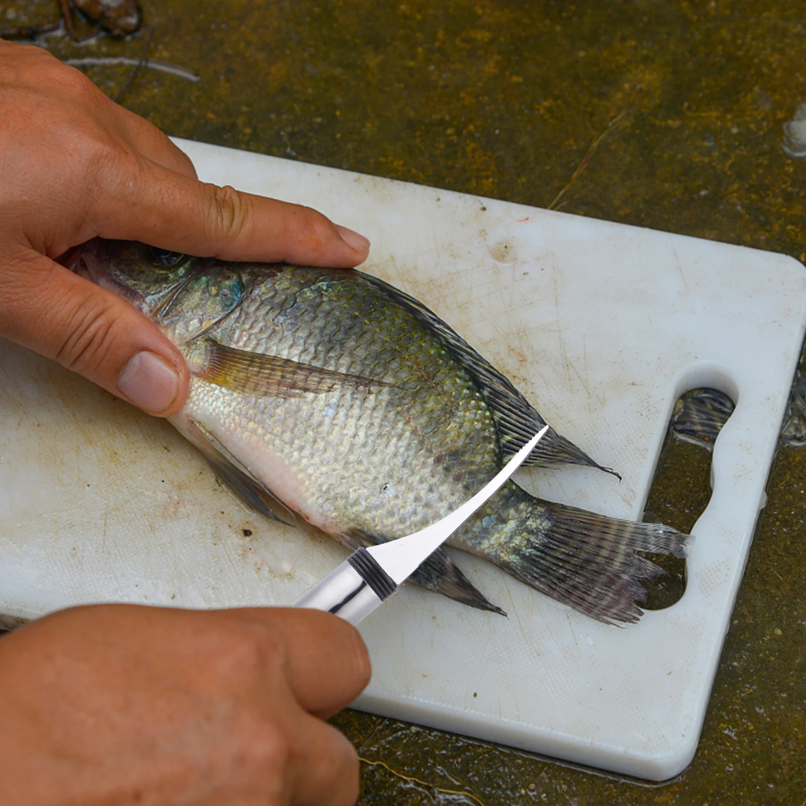 

5pcs Deveiner Stainless Steel Peeler For Easy Shrimp Cleaning Shrimp Line Remover Fish Carving Kitchen Gadget Set