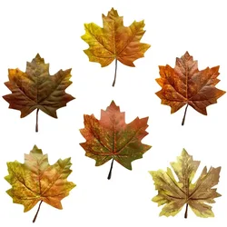 Artificial Canadian Maple Leaf 12 Halloween Shooting Props Simulated Maple Leaf Home Decore  Home Decoration Accessories