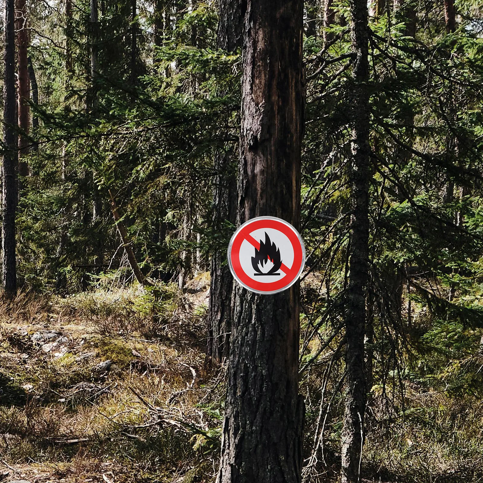 Sinal de prevenção de incêndio durável 30cm cores negrevidas texto claro aviso de segurança sem queima aberta ideal para campos de acampamento florestais caminhadas