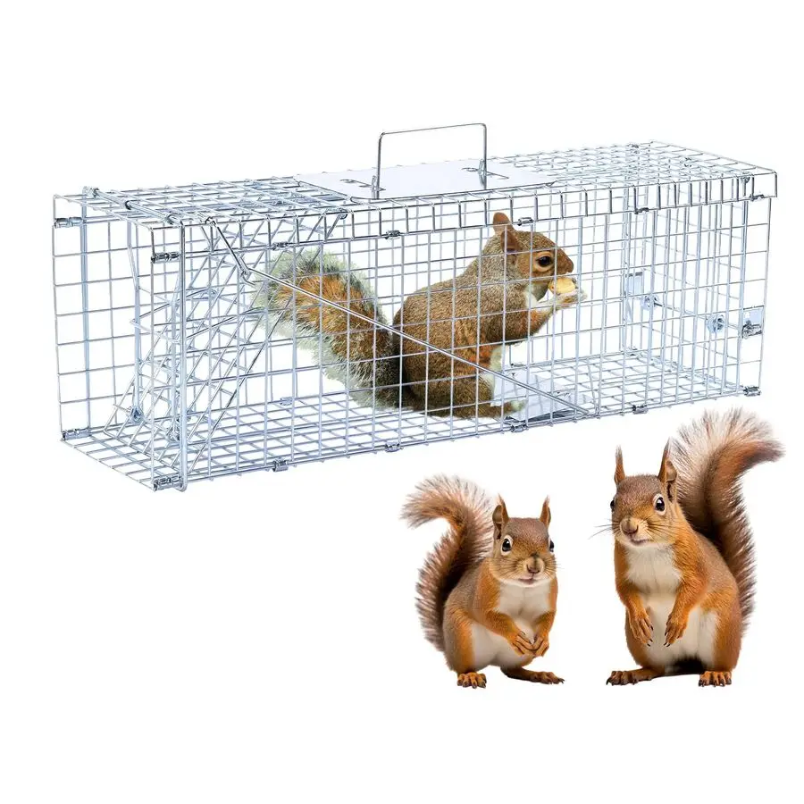 

Ловушка для живых животных, гуманная ловушка для бездомых кошек весом до 5,5 фунтов, енотов, белок, скunks, кротов, сурков, броненосцев, R