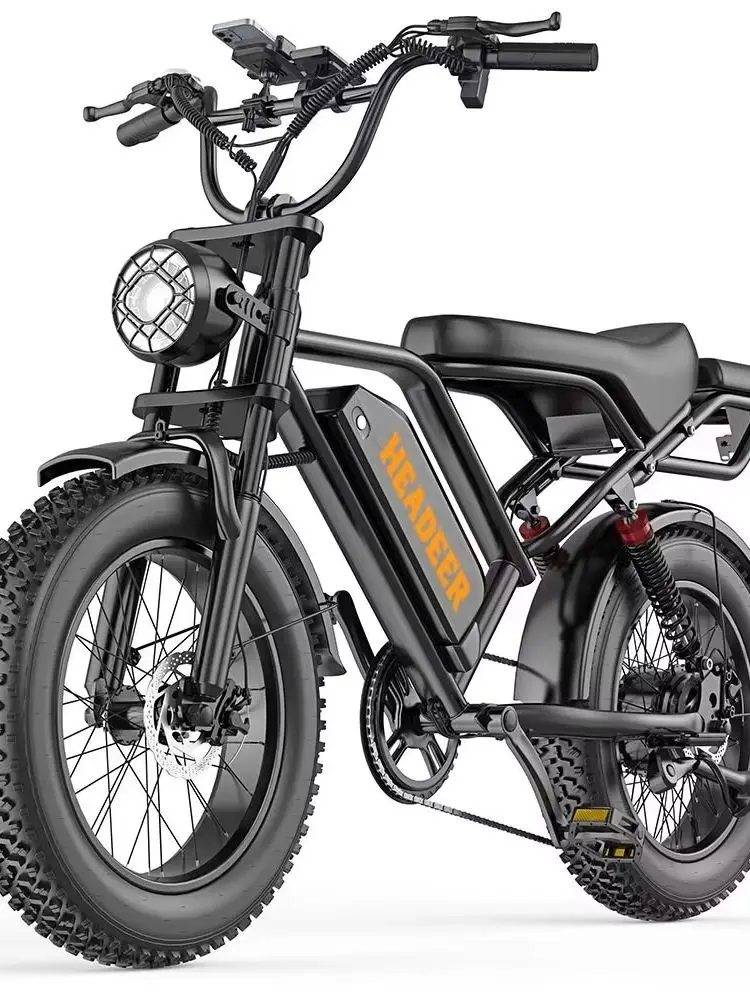 BK20 E-Bike mit Hochleistungsmotor, 48V 20Ah, 20-Zoll-Fat-Tires, Doppelfederung, Scheibenbremsen, Offroad-E-Bike für Erwachsene