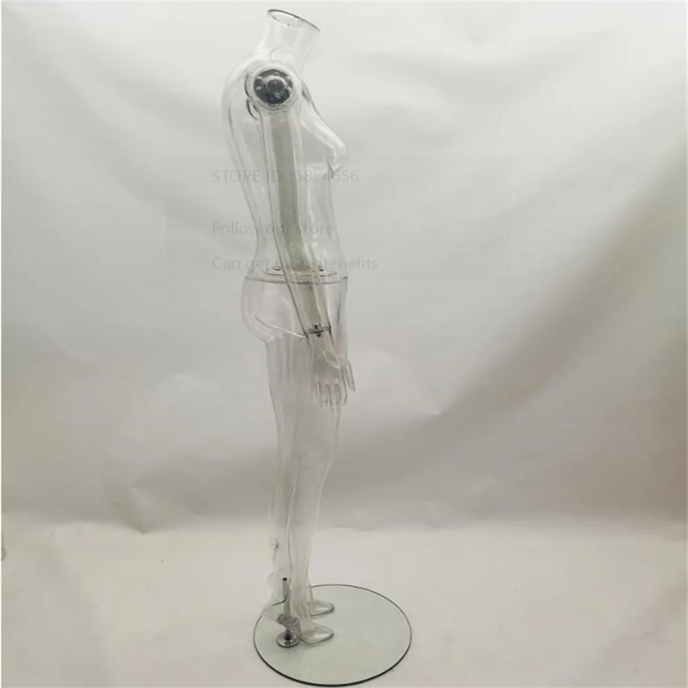 Transparent Female Mannequin Head for Sewing, Large Body Stand, Torso Panties, Underwear Show, Props Display, 3 Styles, E227