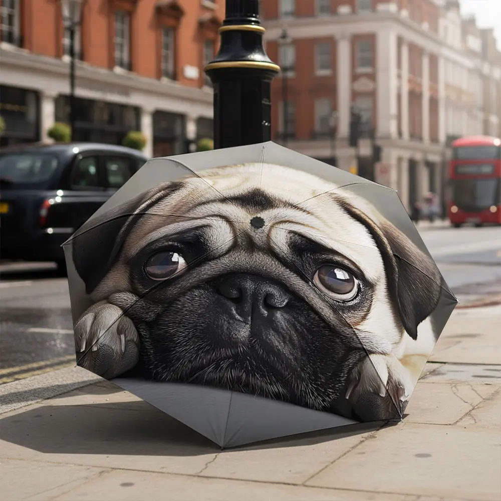 1P C Adorable Pug Printed Umbrella in a Scenic Setting Print 8 Iron Ribs Folding Umbrella Auto-Open Fashion Sunshade