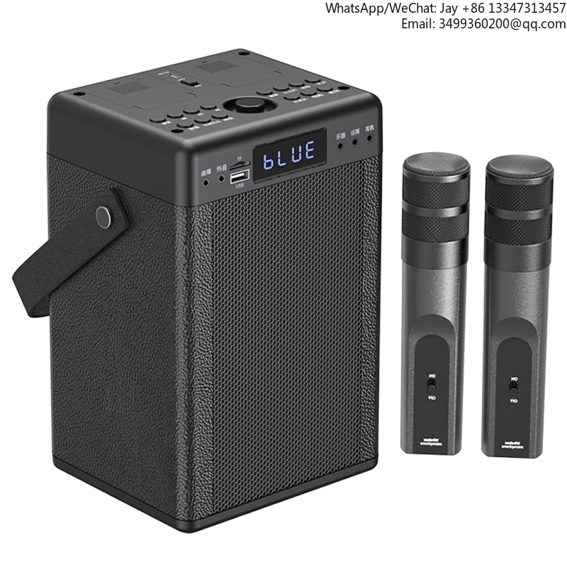 

High Quality Small Size Karaoke Player Portable Mini Wireless Speaker For Live Stream And Street Performance