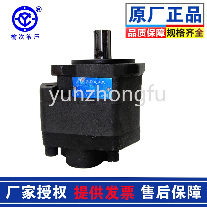 Hydraulic Duplex Geared Oil Pump 2cb-fe10/16/20/25/31.5/40/...