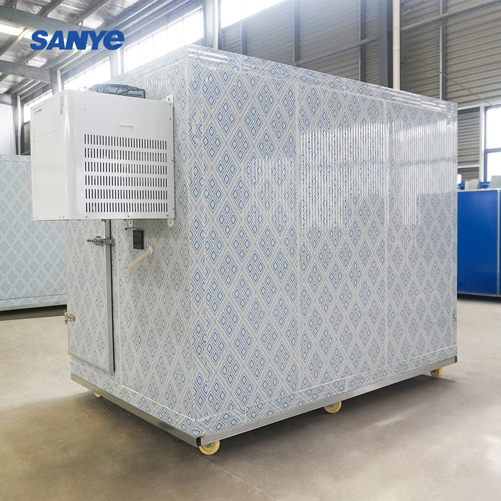 Sala di stoccaggio fredda dell'attrezzatura di refrigerazione del congelatore del contenitore mobile all'ingrosso da 20 piedi per il negozio di ghiaccio di verdure di carne di pesce