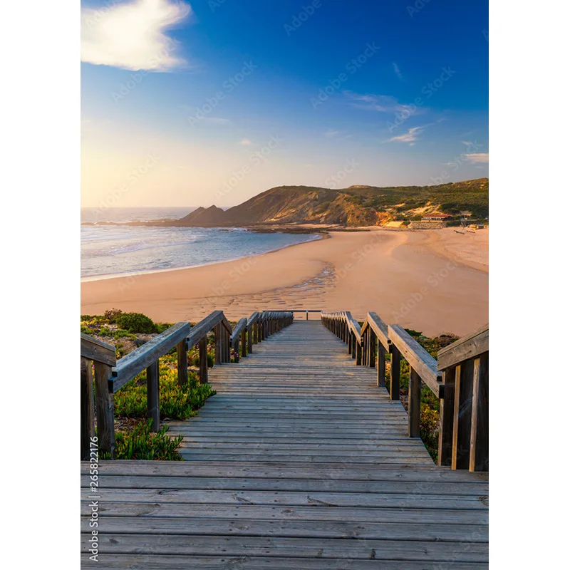 NITREE Tropical Sea Beach Palms Tree Photography Background Scenic Photo Backdrops Photocall Photo Studio HHB 03