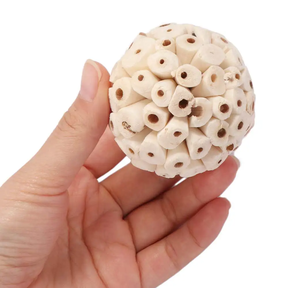 Natural Harmless Chew Tooth Grinding Bird Accessories Parrot Bird  Interactive  Sola Ball Grinding