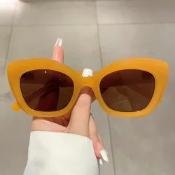 Luxury Brand Designer Vintage Cat Eye Sunglasses Women For Female 2025 Sun Glasses Trendy Punk Popular Big Frame Eyeglasses