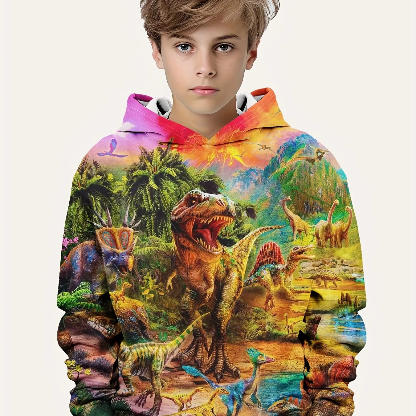 Children\'s Clothing Hoodies Kids Clothes Boy Children Top Long Sleeve Cartoon Dinosaurs Print Spring And Autumn Outdoor Clothes