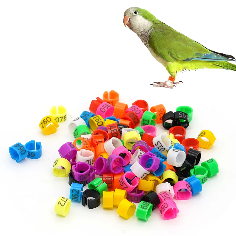 100Pcs New Pigeon Leg Rings Identify Dove Bands 9mm Plastic Parrot Clip Digital Foot Ring Pigeon Training Supply Bird Appliances