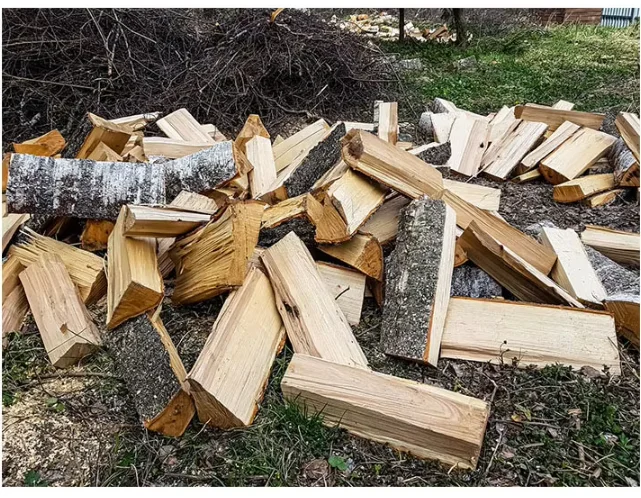 Professional FP20T Log Splitter Firewood Processor for Wood Processing Forestry Machinery