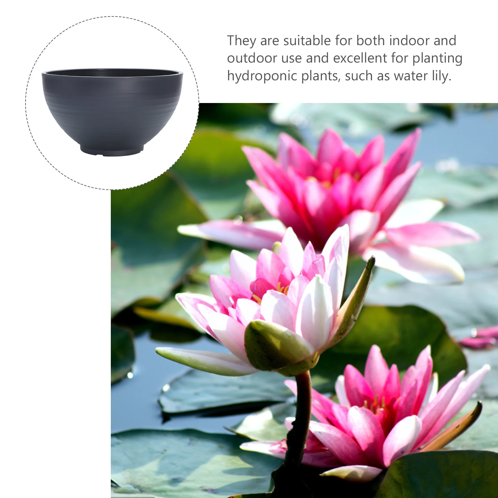 Fish Tank Plants Farming Hydroponic Flowerpot Resin Lily Daffodil Planting Plastic Dark Grey Garden Container