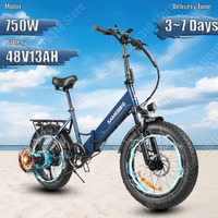 LOTDM 200 Electric Bicycle750W Motor 48V13AH Lithium Battery Adult E-Bike 20*4.0 in Fat Tire Mountain Folding City Electric Bike