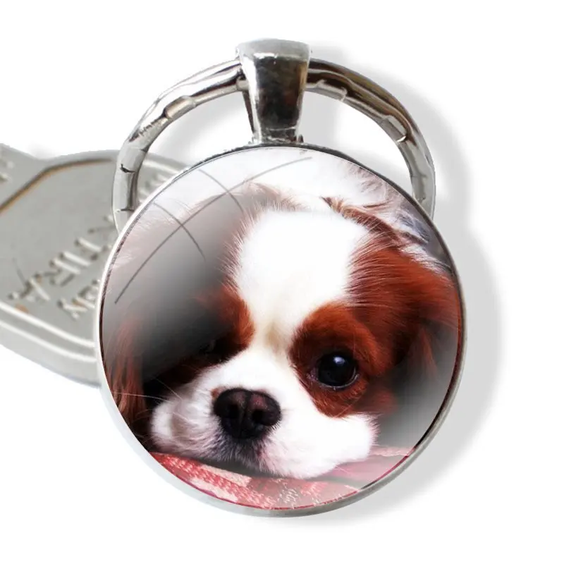 Cavalier King Charles Spaniel Glass Metal Pendant Key Chain Classic Men Women Key Ring Accessories Jewelry Gifts