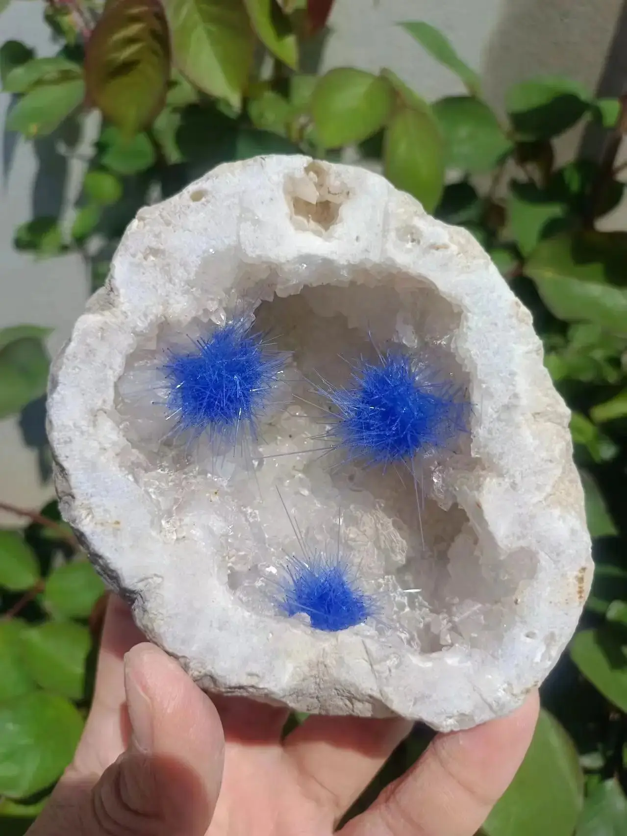 

Natural Sphalerite Symbiotic Blue Needle Cluster,Quartz Crystal Mineral Needle Cluster,Home Office Mineral Reiki Healing Stone