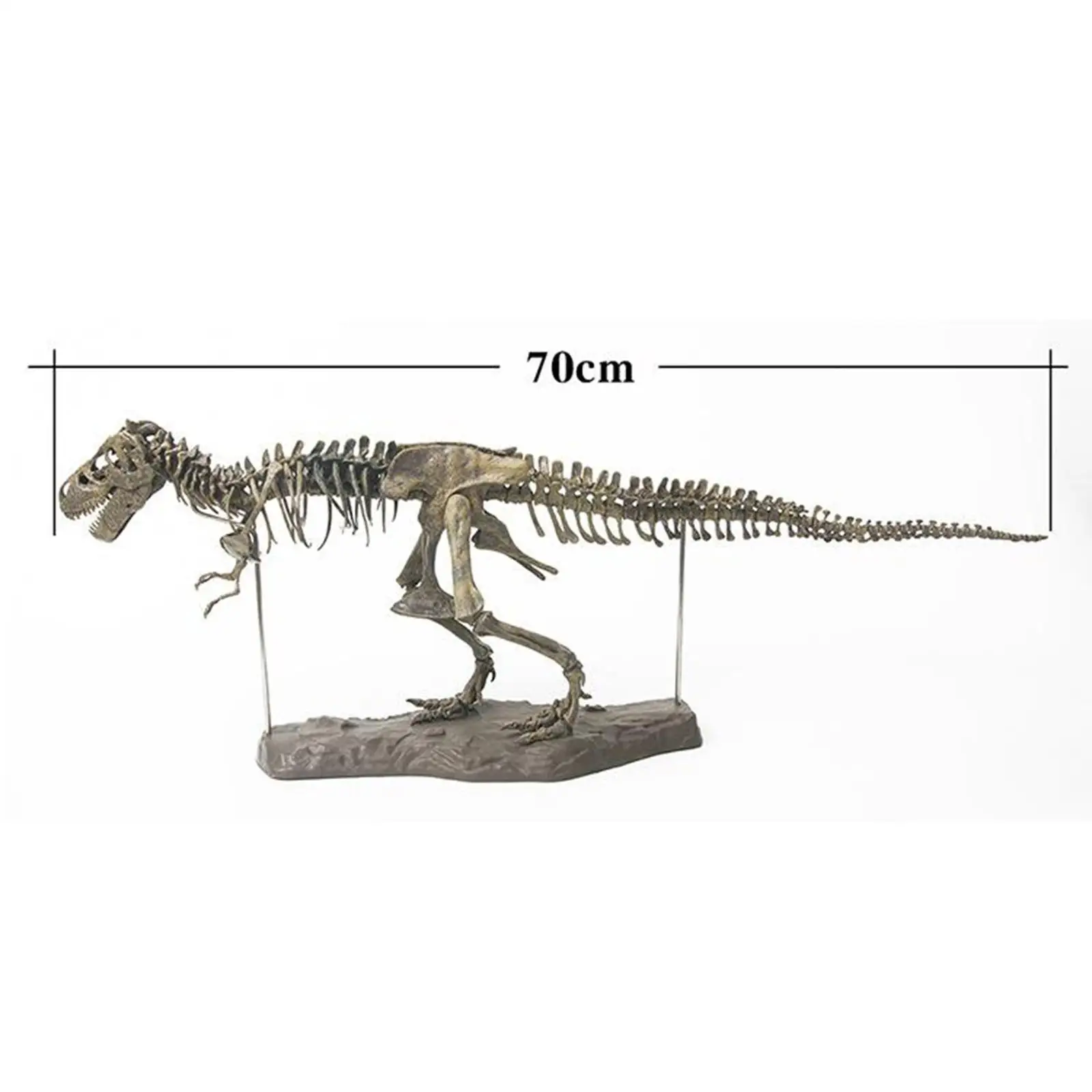 Figura de esqueleto de decoración de oficina DIY sin montar modelo de dinosaurio 4D