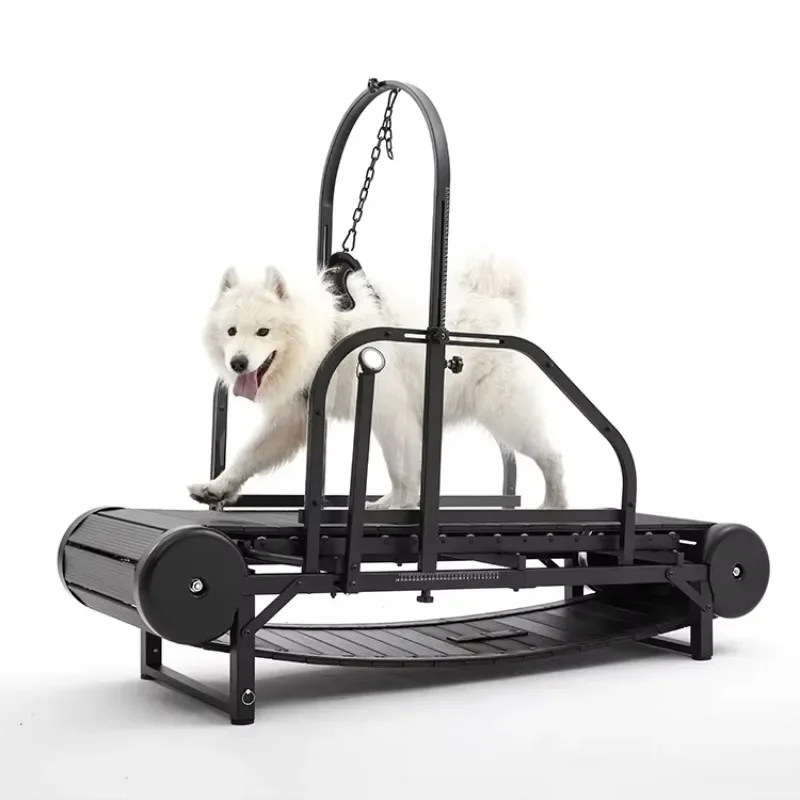 Pet Dog Treadmill for Large Dogs: Indoor & Outdoor Canine Running Machine for Pet Health and Fitness, Doggy Exercise Equipment