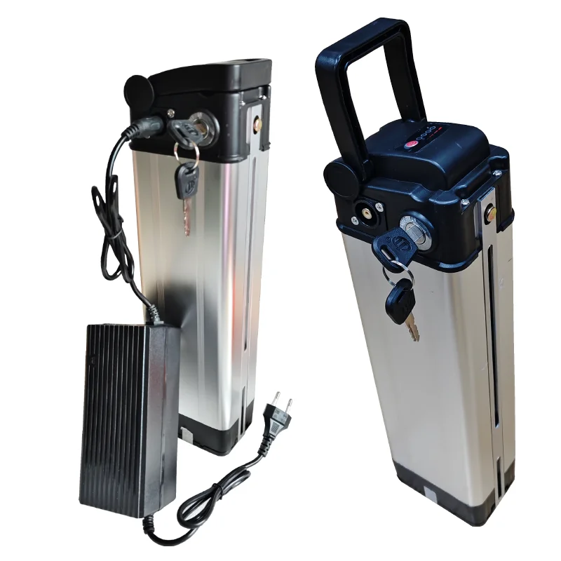 Portable  36V 48V  15AH 18AH  Silverfish Lithium Ion High Power 250W 500W 750W 1000W 36V 18Ah 48V 18650 Battery Pack+charger