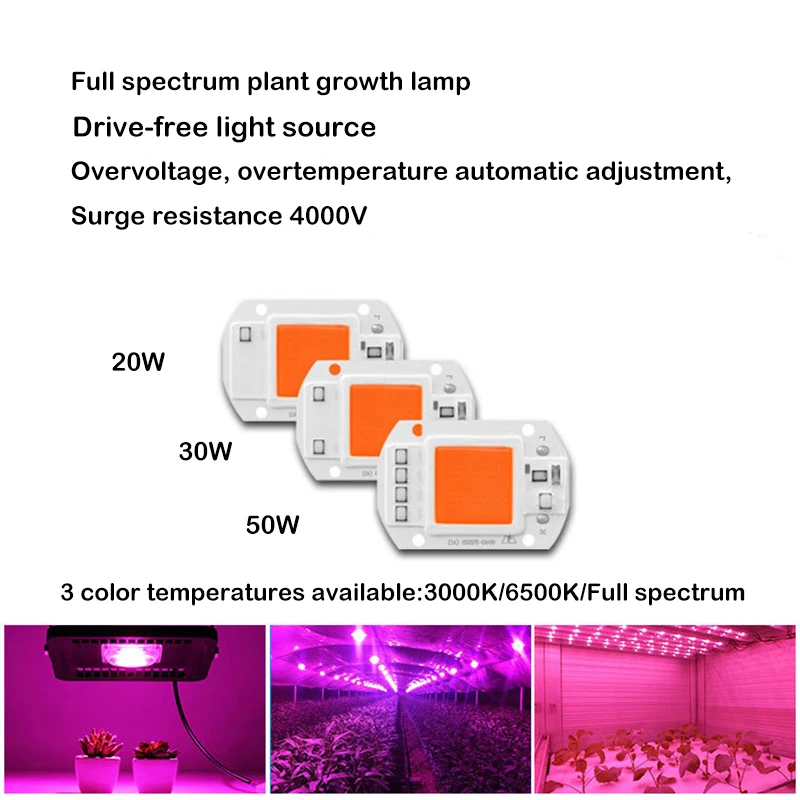 LED COB Chip AC 110V 20W 30W 50W Smart Beads Module No Need Driver Plant Grow Lamp Bulb for FloodLight Spotlight DIY Lighting