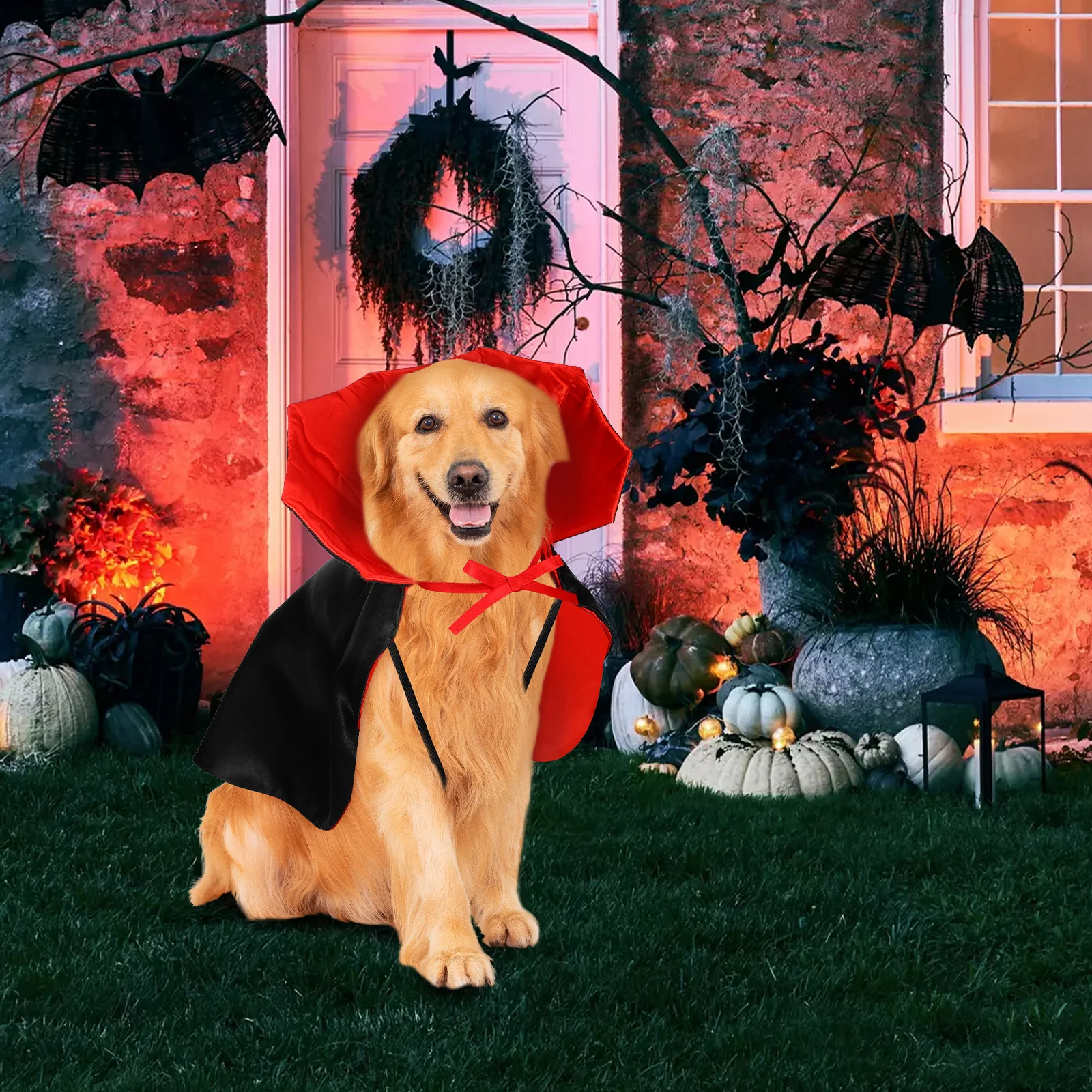 

Dog Vampire Cape Black Red Spooky For Medium Dogs Halloween Party Outfit Reusable Dog Costume Pet Cosplay Cape -
