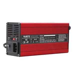 12 최고의 판매 골프 카트 충전기 -110