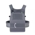 Wolf Grey
