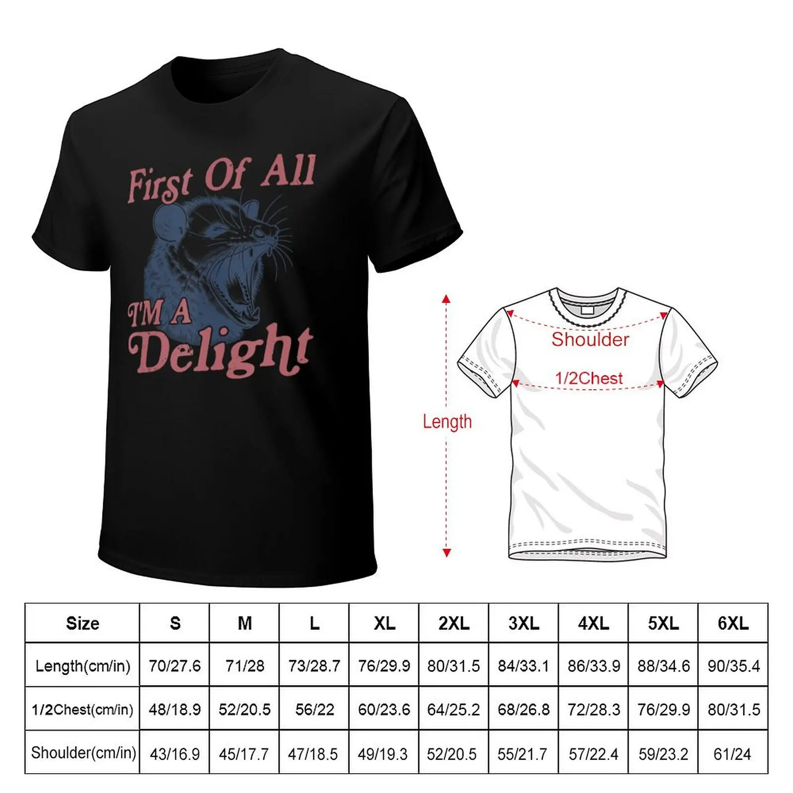 First Of All I'm A Delight Funny Angry Opossum Possum T-Shirt Big and Tall Gym T-Shirt