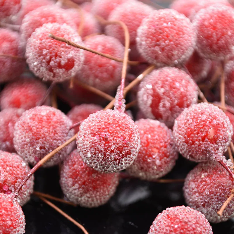 20Pcs/Lot 15mm Fake Plastic Fruit Glass Berries Artificial Pomegranate Red Cherry Bouquet Stamen DIY Gift Box Decorated Stamens
