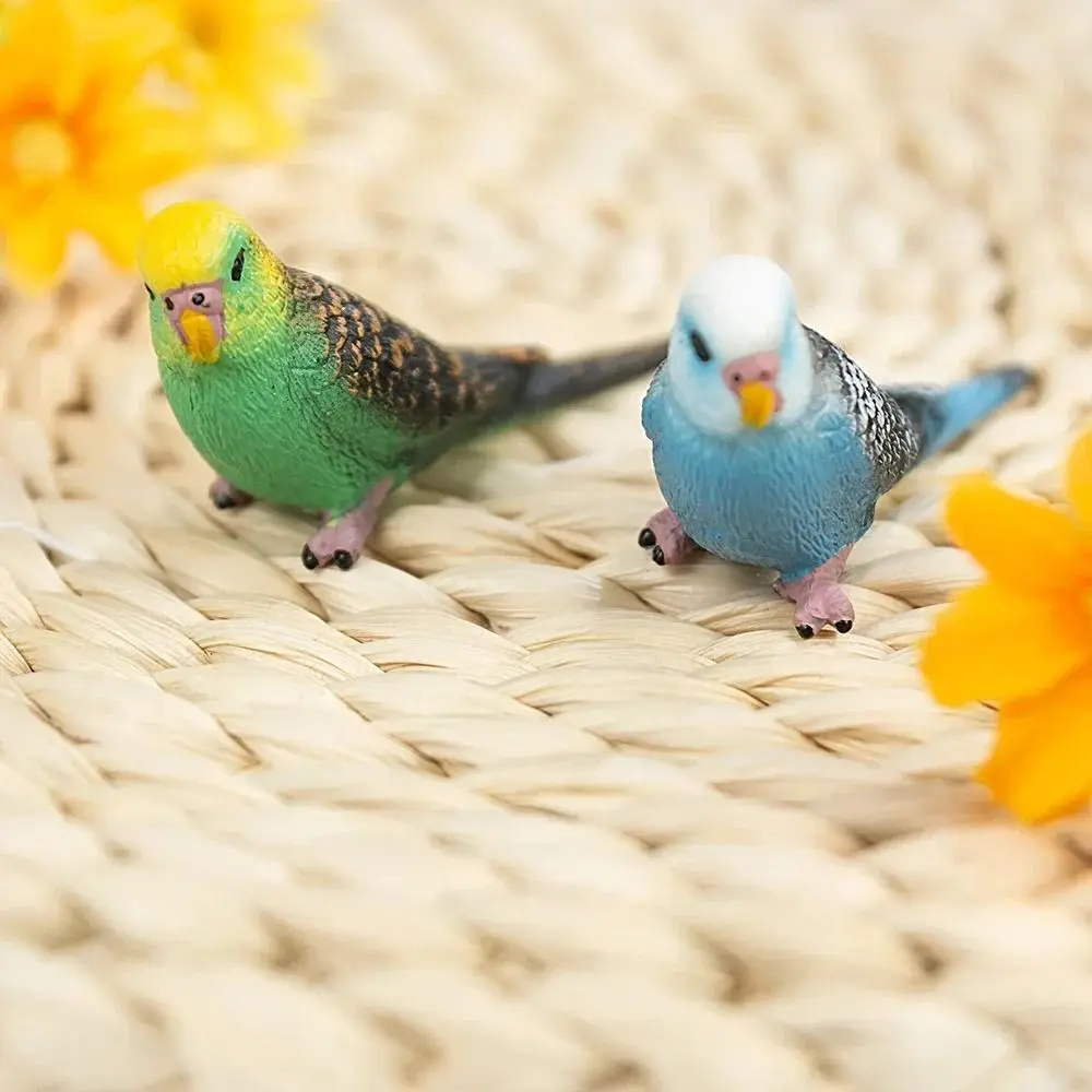 Creative Miniatures Simulated Budgie Parrot Plastic Cartoon Budgerigar Educational Bird Figurines Tabletop